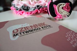 DZIENNIK AKTYWNOŚCI KOTA + 2 cienkopisy GRATIS | Co Ty Kocie