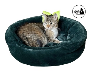 LEGOWISKO DLA KOTA | Zielona elegancja | ⌀ 50 cm | Co Ty Kocie