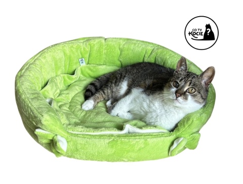 LEGOWISKO DLA KOTA | Na Trawce | ⌀ 50 cm | Co Ty Kocie