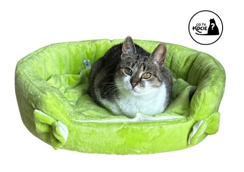 LEGOWISKO DLA KOTA | Na Trawce | ⌀ 50 cm | Co Ty Kocie