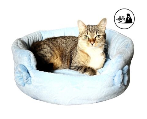 LEGOWISKO DLA KOTA | W chmurce | ⌀ 50 cm | Co Ty Kocie