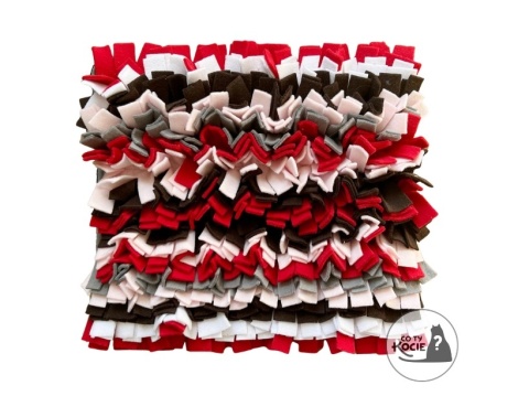 MATA WĘCHOWA 2 | Co Ty Kocie