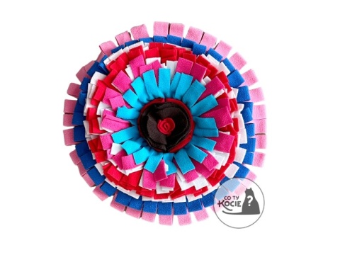 MATA WĘCHOWA | Kolorowe koło | Co Ty Kocie