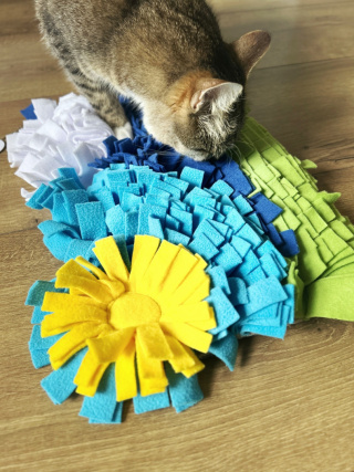 MATA WĘCHOWA dla kota | Niebo | Co Ty Kocie