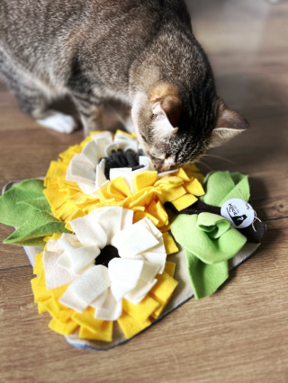 MATA WĘCHOWA dla kota | Słonecznik | Co Ty Kocie