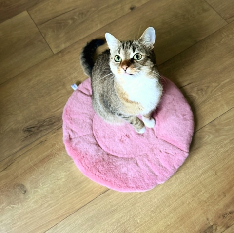 RÓŻOWA MRUCZMATKA | ⌀ 45 cm | Co Ty Kocie