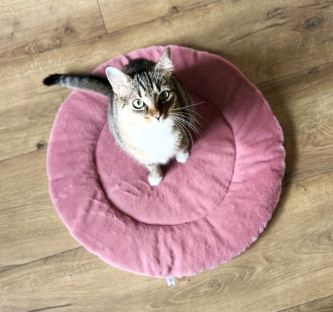 RÓŻOWA MRUCZMATKA | ⌀ 60 cm | Co Ty Kocie